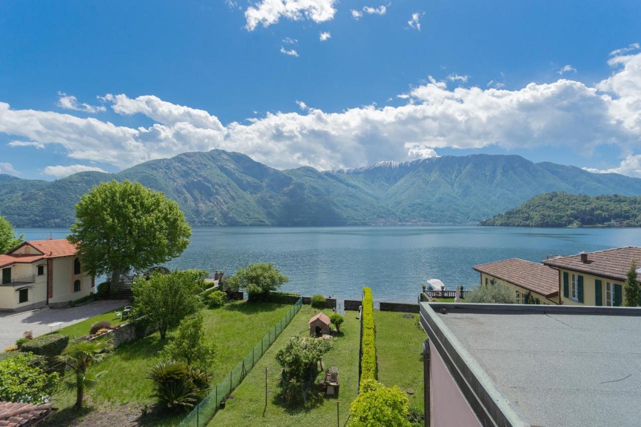 Mezzegra Tina'S Window On Lake Como By Rent All Como מראה חיצוני תמונה